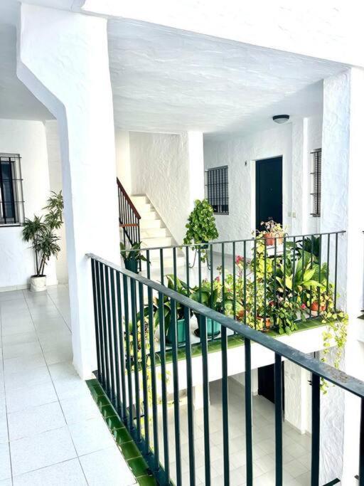 El Gato Gris Apartment Конил-де-ла-Фронтера Екстериор снимка